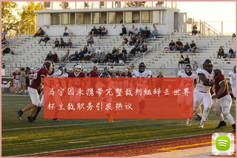 马宁因未携带完整裁判组辞去世界杯主裁职务引发热议